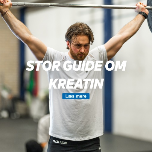 Stor guide om kreatin